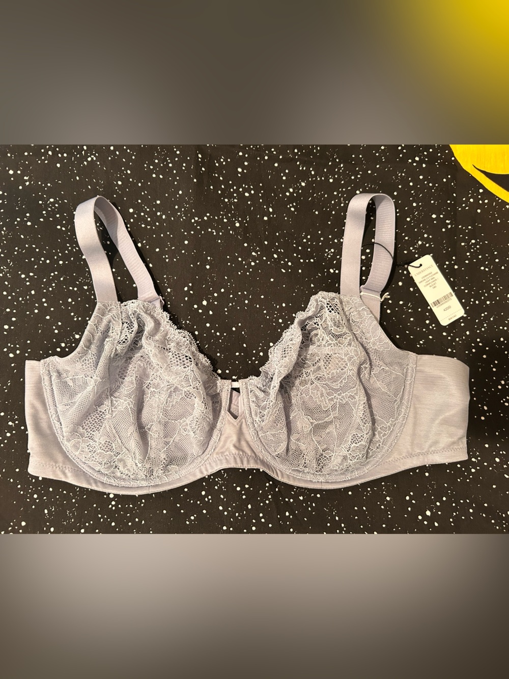 42DD Understance Simone 2.0 Flexwire Lace Bra in Cornflower